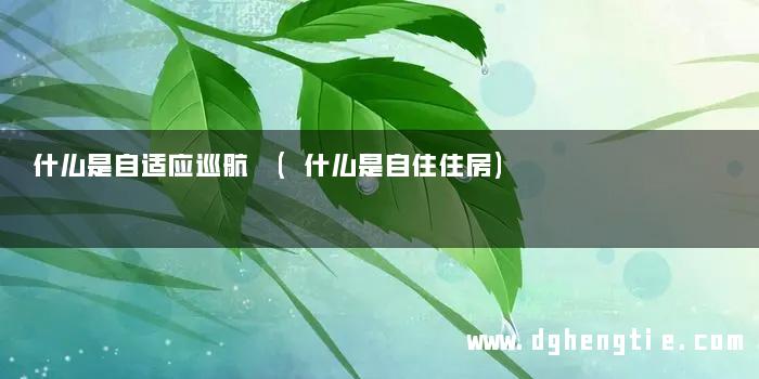 什么是自适应巡航 (什么是自住住房)